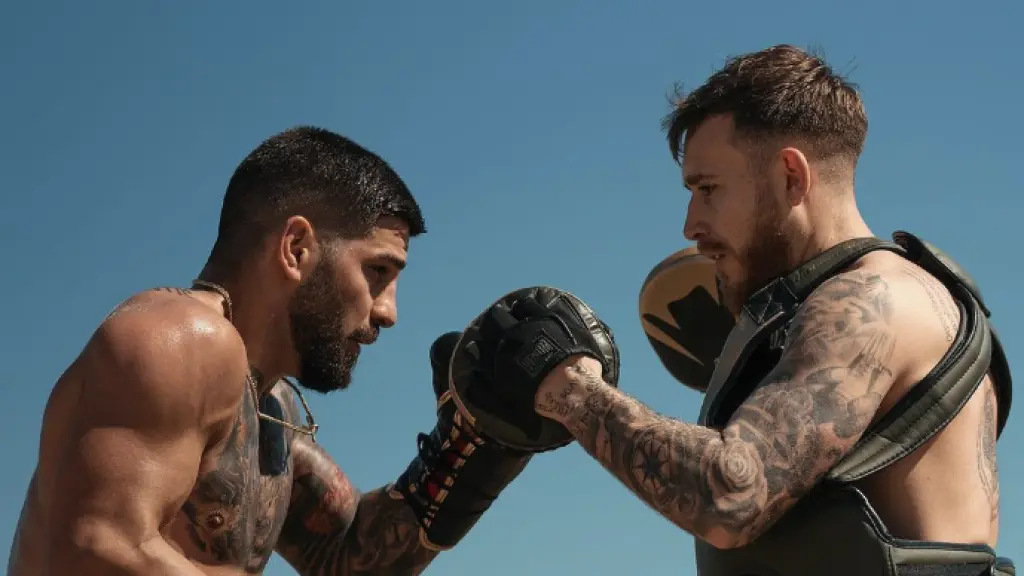 boxeo profesional curso Invictos 